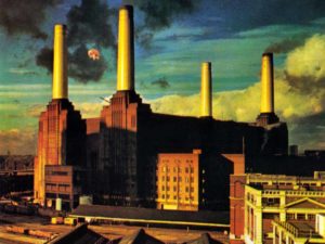 animals-album